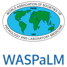 WASPaLM